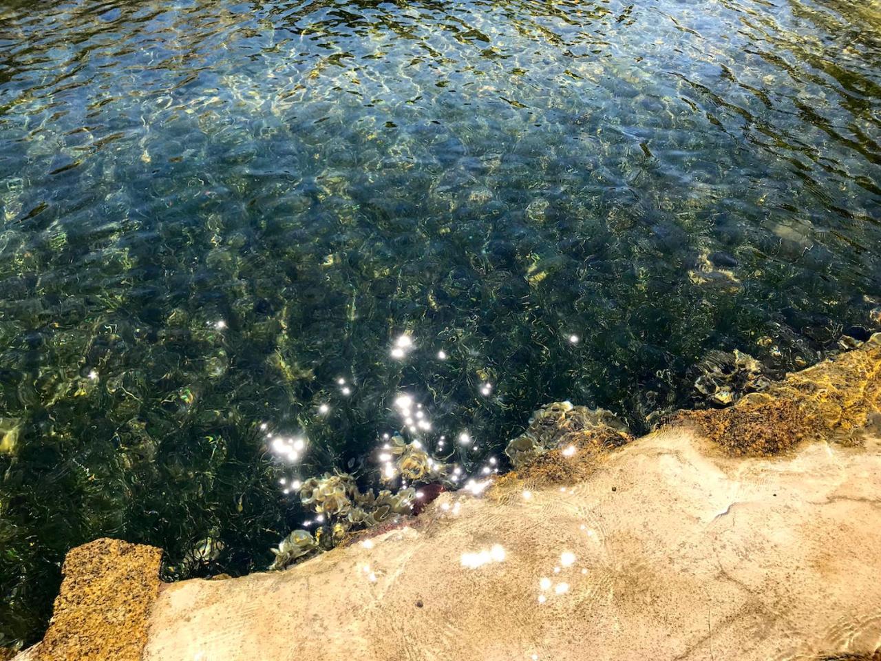 Villa Mica La Maddalena  Zewnętrze zdjęcie